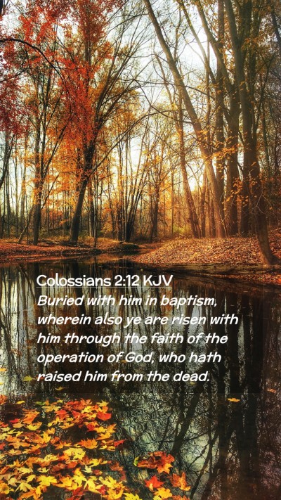 Picture 02 - Colossians 2:12 KJV Mobile Phone Wallpaper - Buried with him in baptism, wherein also ye are - Mobile Bible Verse Wallpaper