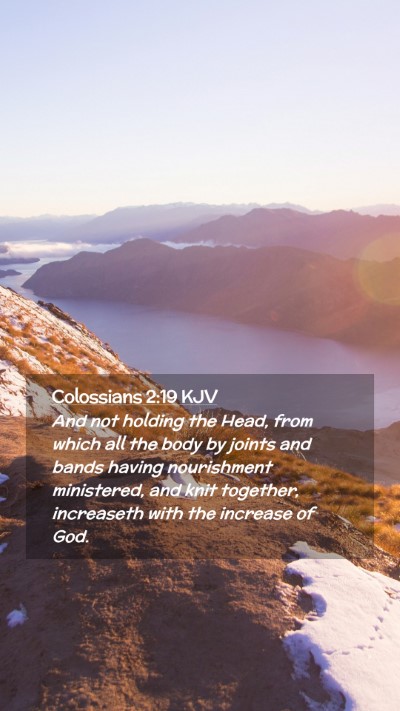 Picture 02 - Colossians 2:19 KJV Mobile Phone Wallpaper - And not holding the Head, from which all the body - Mobile Bible Verse Wallpaper