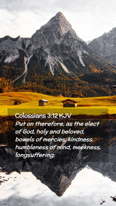 Picture 02 - Colossians 3:12 KJV Mobile Phone Wallpaper - Put on therefore, as the elect of God, holy and - Mobile Bible Verse Wallpaper