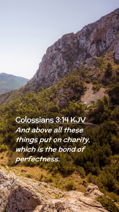 Picture 02 - Colossians 3:14 KJV Mobile Phone Wallpaper - And above all these things put on charity, which - Mobile Bible Verse Wallpaper