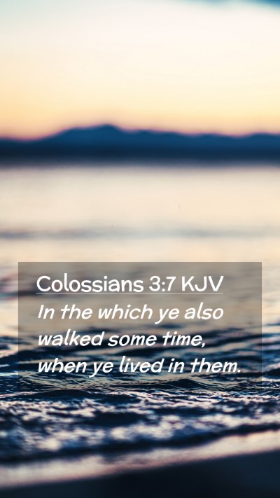 Picture 02 - Colossians 3:7 KJV Mobile Phone Wallpaper - In the which ye also walked some time, when ye - Mobile Bible Verse Wallpaper