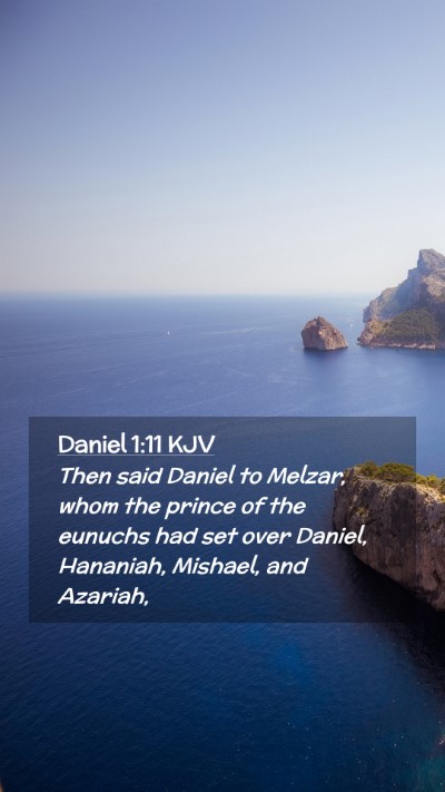 Picture 02 - Daniel 1:11 KJV Mobile Phone Wallpaper - Then said Daniel to Melzar, whom the prince of - Mobile Bible Verse Wallpaper