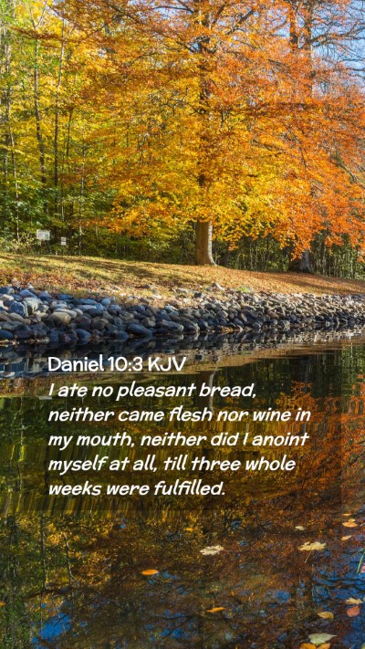 Picture 02 - Daniel 10:3 KJV Mobile Phone Wallpaper - I ate no pleasant bread, neither came flesh nor - Mobile Bible Verse Wallpaper