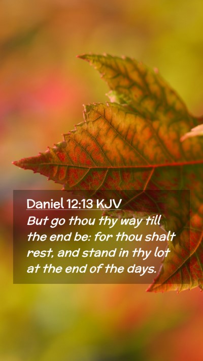 Picture 02 - Daniel 12:13 KJV Mobile Phone Wallpaper - But go thou thy way till the end be: for thou - Mobile Bible Verse Wallpaper