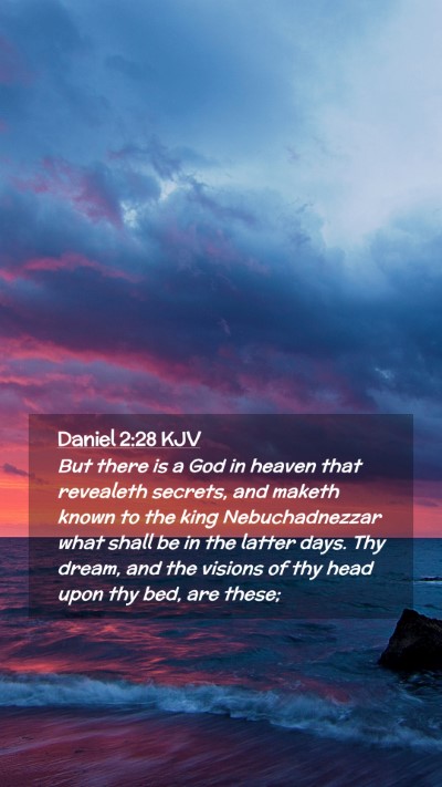 Picture 02 - Daniel 2:28 KJV Mobile Phone Wallpaper - But there is a God in heaven that revealeth - Mobile Bible Verse Wallpaper