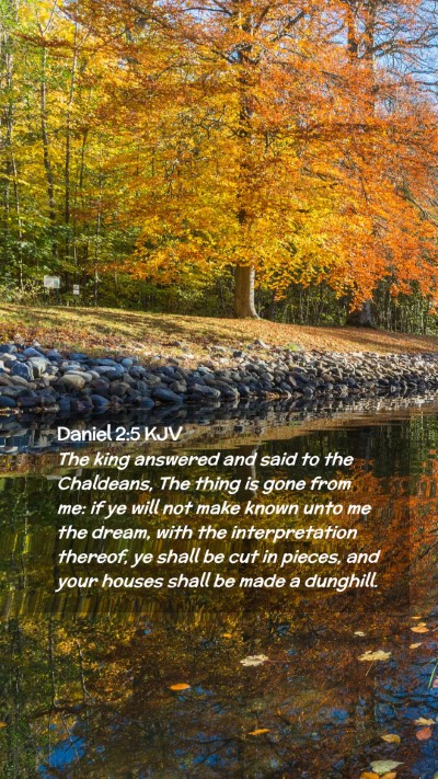 Picture 02 - Daniel 2:5 KJV Mobile Phone Wallpaper - The king answered and said to the Chaldeans, The - Mobile Bible Verse Wallpaper