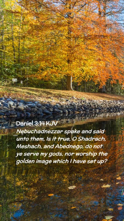 Picture 02 - Daniel 3:14 KJV Mobile Phone Wallpaper - Nebuchadnezzar spake and said unto them, Is it - Mobile Bible Verse Wallpaper