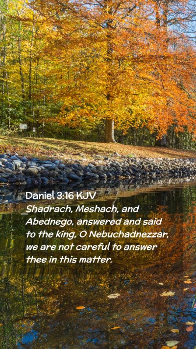Picture 02 - Daniel 3:16 KJV Mobile Phone Wallpaper - Shadrach, Meshach, and Abednego, answered and - Mobile Bible Verse Wallpaper