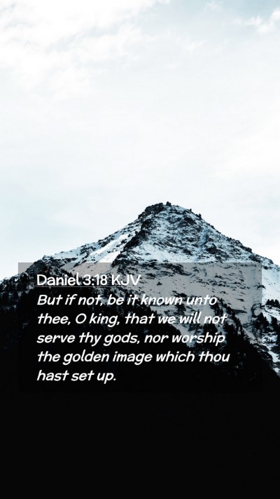 Picture 02 - Daniel 3:18 KJV Mobile Phone Wallpaper - But if not, be it known unto thee, O king, that - Mobile Bible Verse Wallpaper