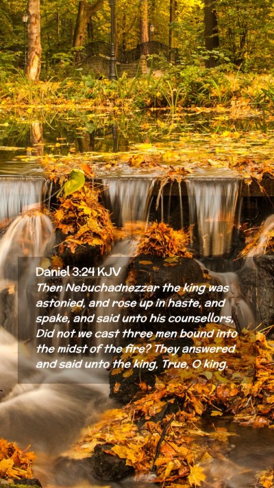 Picture 02 - Daniel 3:24 KJV Mobile Phone Wallpaper - Then Nebuchadnezzar the king was astonied, and - Mobile Bible Verse Wallpaper