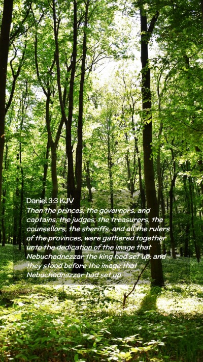 Picture 02 - Daniel 3:3 KJV Mobile Phone Wallpaper - Then the princes, the governors, and captains, - Mobile Bible Verse Wallpaper