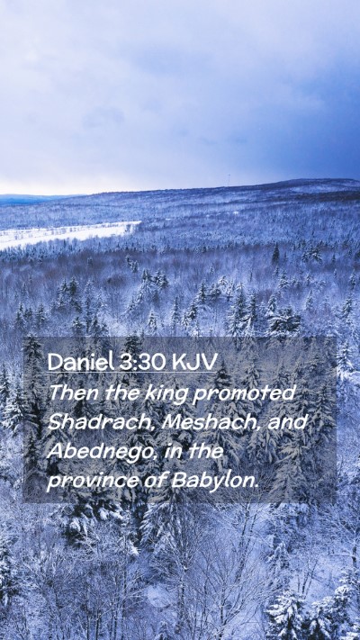 Picture 02 - Daniel 3:30 KJV Mobile Phone Wallpaper - Then the king promoted Shadrach, Meshach, and - Mobile Bible Verse Wallpaper