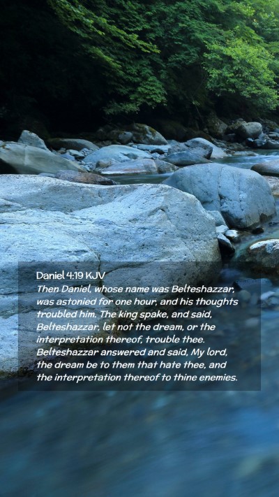 Picture 02 - Daniel 4:19 KJV Mobile Phone Wallpaper - Then Daniel, whose name was Belteshazzar, was - Mobile Bible Verse Wallpaper