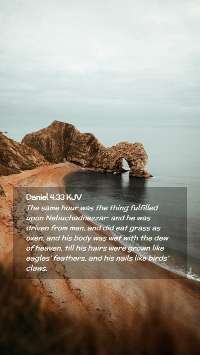 Picture 02 - Daniel 4:33 KJV Mobile Phone Wallpaper - The same hour was the thing fulfilled upon - Mobile Bible Verse Wallpaper
