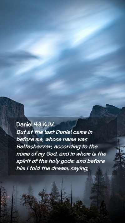 Picture 02 - Daniel 4:8 KJV Mobile Phone Wallpaper - But at the last Daniel came in before me, whose - Mobile Bible Verse Wallpaper