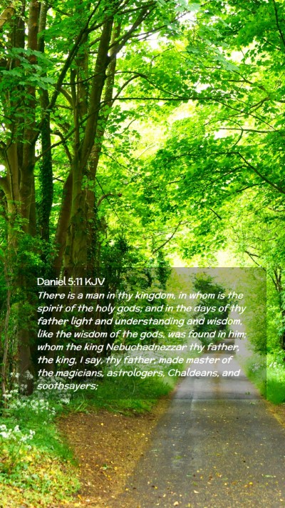 Picture 02 - Daniel 5:11 KJV Mobile Phone Wallpaper - There is a man in thy kingdom, in whom is the - Mobile Bible Verse Wallpaper