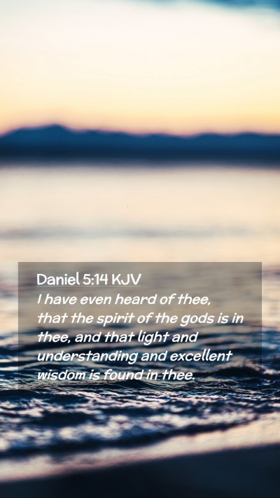 Picture 02 - Daniel 5:14 KJV Mobile Phone Wallpaper - I have even heard of thee, that the spirit of the - Mobile Bible Verse Wallpaper