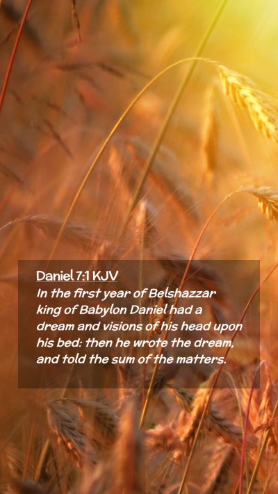 Picture 02 - Daniel 7:1 KJV Mobile Phone Wallpaper - In the first year of Belshazzar king of Babylon - Mobile Bible Verse Wallpaper