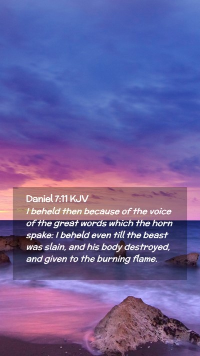 Picture 02 - Daniel 7:11 KJV Mobile Phone Wallpaper - I beheld then because of the voice of the great - Mobile Bible Verse Wallpaper