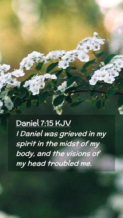 Picture 02 - Daniel 7:15 KJV Mobile Phone Wallpaper - I Daniel was grieved in my spirit in the midst of - Mobile Bible Verse Wallpaper