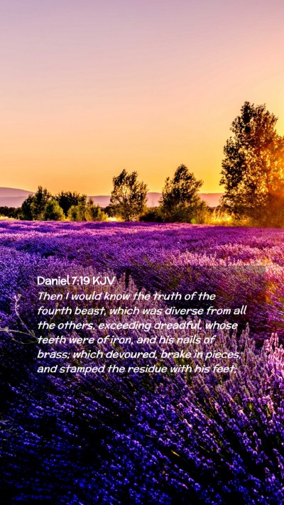 Picture 02 - Daniel 7:19 KJV Mobile Phone Wallpaper - Then I would know the truth of the fourth beast, - Mobile Bible Verse Wallpaper
