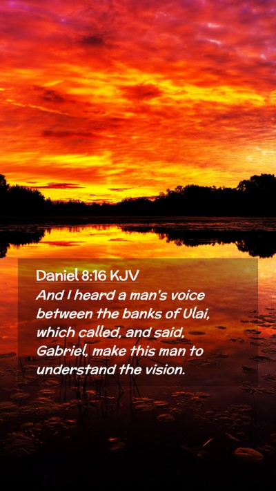 Picture 02 - Daniel 8:16 KJV Mobile Phone Wallpaper - And I heard a man's voice between the banks of - Mobile Bible Verse Wallpaper