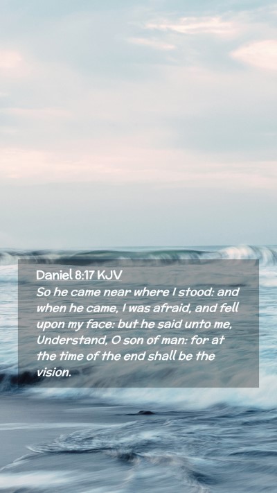Picture 02 - Daniel 8:17 KJV Mobile Phone Wallpaper - So he came near where I stood: and when he came, - Mobile Bible Verse Wallpaper