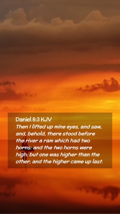 Picture 02 - Daniel 8:3 KJV Mobile Phone Wallpaper - Then I lifted up mine eyes, and saw, and, behold, - Mobile Bible Verse Wallpaper