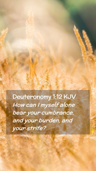 Picture 02 - Deuteronomy 1:12 KJV Mobile Phone Wallpaper - How can I myself alone bear your cumbrance, and - Mobile Bible Verse Wallpaper