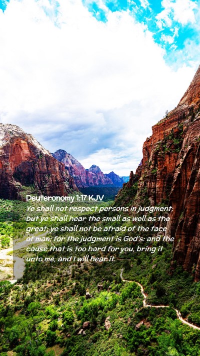 Picture 02 - Deuteronomy 1:17 KJV Mobile Phone Wallpaper - Ye shall not respect persons in judgment; but ye - Mobile Bible Verse Wallpaper