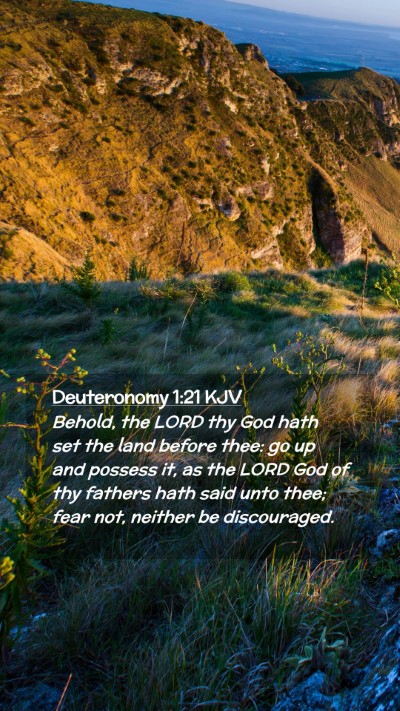 Picture 02 - Deuteronomy 1:21 KJV Mobile Phone Wallpaper - Behold, the LORD thy God hath set the land before - Mobile Bible Verse Wallpaper