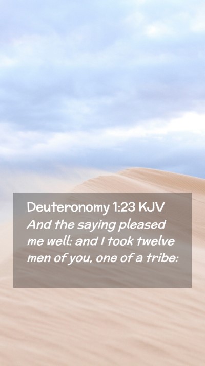 Picture 02 - Deuteronomy 1:23 KJV Mobile Phone Wallpaper - And the saying pleased me well: and I took twelve - Mobile Bible Verse Wallpaper