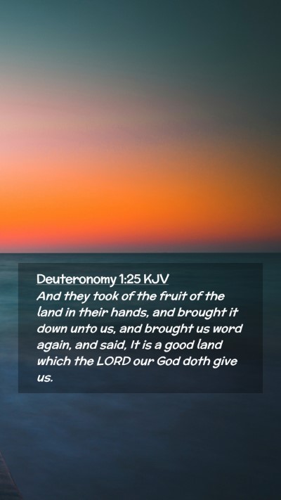Picture 02 - Deuteronomy 1:25 KJV Mobile Phone Wallpaper - And they took of the fruit of the land in their - Mobile Bible Verse Wallpaper