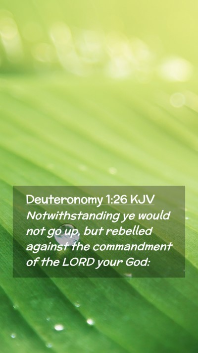 Picture 02 - Deuteronomy 1:26 KJV Mobile Phone Wallpaper - Notwithstanding ye would not go up, but rebelled - Mobile Bible Verse Wallpaper
