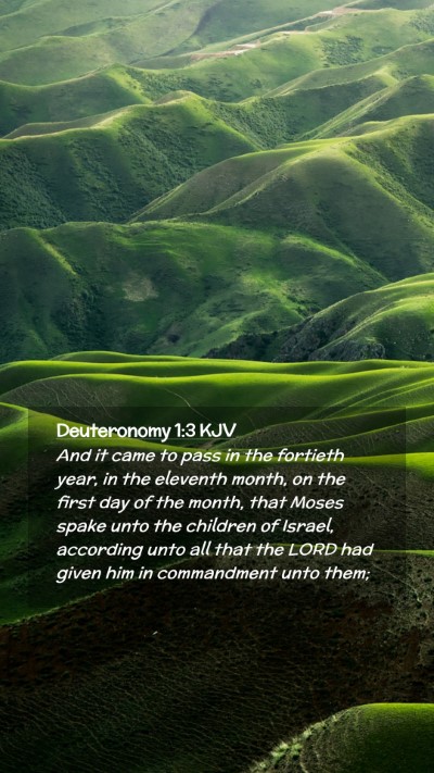 Picture 02 - Deuteronomy 1:3 KJV Mobile Phone Wallpaper - And it came to pass in the fortieth year, in the - Mobile Bible Verse Wallpaper