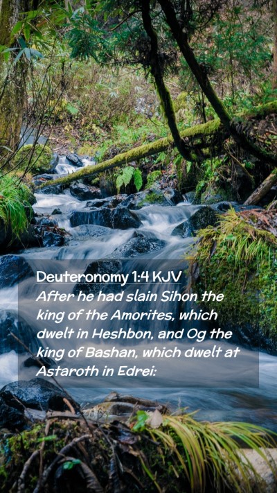 Picture 02 - Deuteronomy 1:4 KJV Mobile Phone Wallpaper - After he had slain Sihon the king of the - Mobile Bible Verse Wallpaper