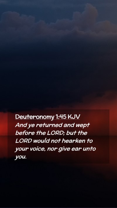 Picture 02 - Deuteronomy 1:45 KJV Mobile Phone Wallpaper - And ye returned and wept before the LORD; but the - Mobile Bible Verse Wallpaper