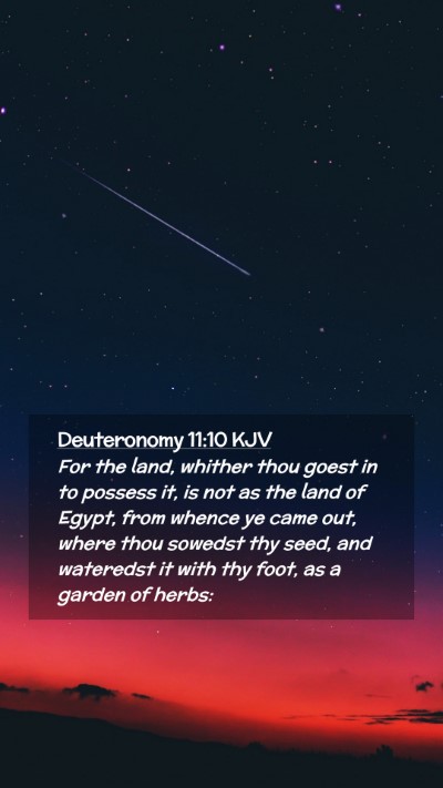 Picture 02 - Deuteronomy 11:10 KJV Mobile Phone Wallpaper - For the land, whither thou goest in to possess - Mobile Bible Verse Wallpaper
