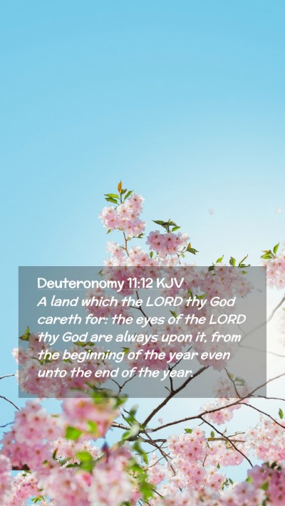 Picture 02 - Deuteronomy 11:12 KJV Mobile Phone Wallpaper - A land which the LORD thy God careth for: the - Mobile Bible Verse Wallpaper