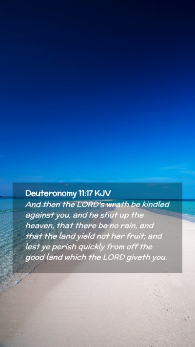 Picture 02 - Deuteronomy 11:17 KJV Mobile Phone Wallpaper - And then the LORD's wrath be kindled against you, - Mobile Bible Verse Wallpaper