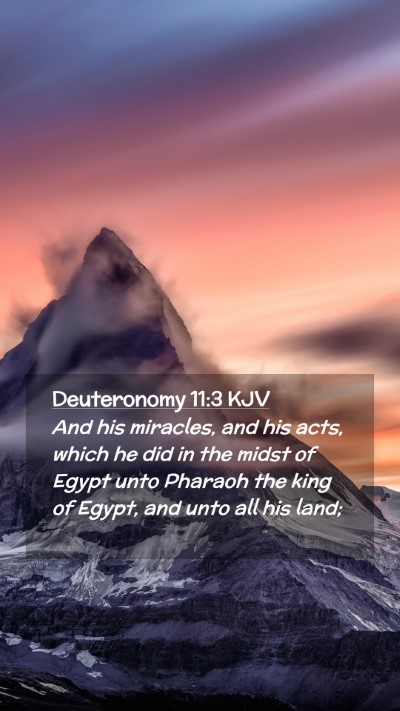 Picture 02 - Deuteronomy 11:3 KJV Mobile Phone Wallpaper - And his miracles, and his acts, which he did in - Mobile Bible Verse Wallpaper