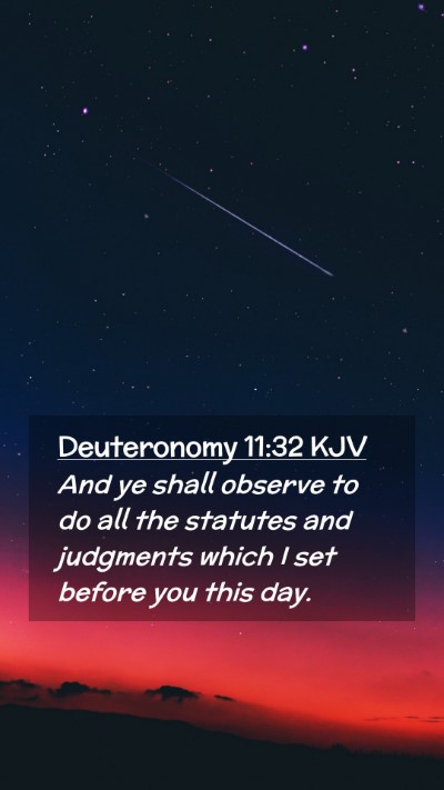 Picture 02 - Deuteronomy 11:32 KJV Mobile Phone Wallpaper - And ye shall observe to do all the statutes and - Mobile Bible Verse Wallpaper