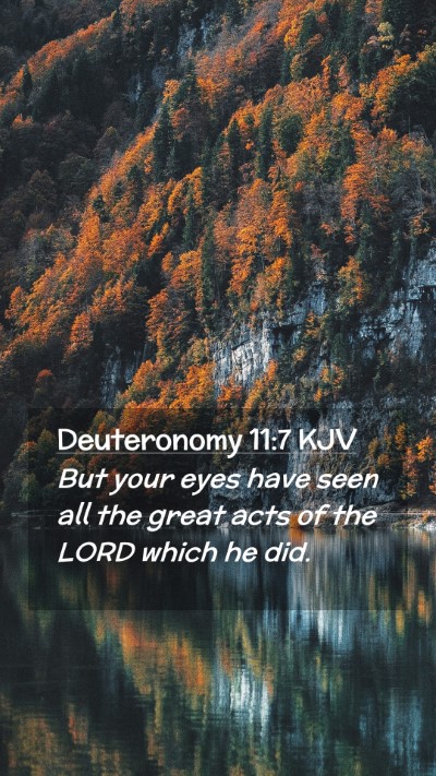 Picture 02 - Deuteronomy 11:7 KJV Mobile Phone Wallpaper - But your eyes have seen all the great acts of the - Mobile Bible Verse Wallpaper