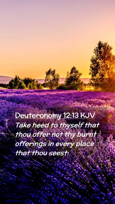 Picture 02 - Deuteronomy 12:13 KJV Mobile Phone Wallpaper - Take heed to thyself that thou offer not thy - Mobile Bible Verse Wallpaper
