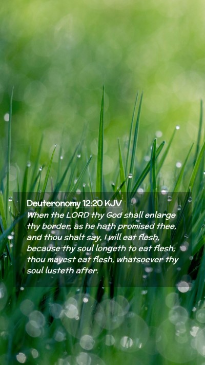 Picture 02 - Deuteronomy 12:20 KJV Mobile Phone Wallpaper - When the LORD thy God shall enlarge thy border, - Mobile Bible Verse Wallpaper