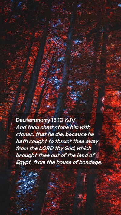 Picture 02 - Deuteronomy 13:10 KJV Mobile Phone Wallpaper - And thou shalt stone him with stones, that he - Mobile Bible Verse Wallpaper