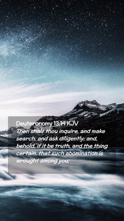 Picture 02 - Deuteronomy 13:14 KJV Mobile Phone Wallpaper - Then shalt thou inquire, and make search, and ask - Mobile Bible Verse Wallpaper