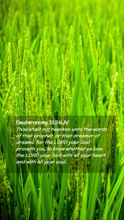 Picture 02 - Deuteronomy 13:3 KJV Mobile Phone Wallpaper - Thou shalt not hearken unto the words of that - Mobile Bible Verse Wallpaper