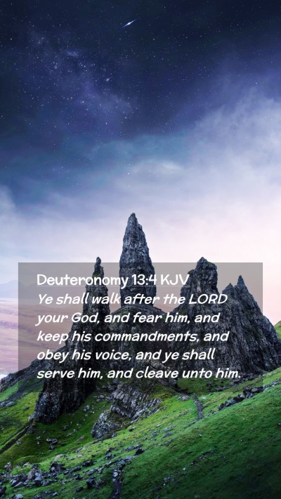 Picture 02 - Deuteronomy 13:4 KJV Mobile Phone Wallpaper - Ye shall walk after the LORD your God, and fear - Mobile Bible Verse Wallpaper