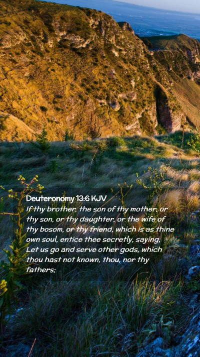 Picture 02 - Deuteronomy 13:6 KJV Mobile Phone Wallpaper - If thy brother, the son of thy mother, or thy - Mobile Bible Verse Wallpaper